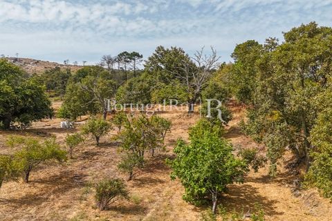 Landejendom i Guarda, Guarda, Guarda - € 875.000 | Ref: FG750 - foto 36