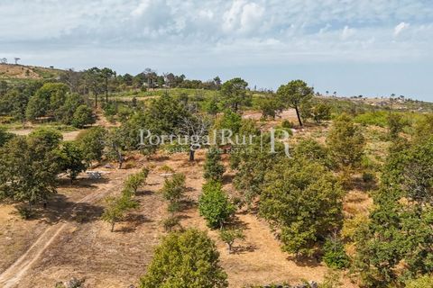 Landejendom i Guarda, Guarda, Guarda - € 875.000 | Ref: FG750 - foto 38