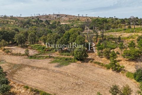 Landejendom i Guarda, Guarda, Guarda - € 875.000 | Ref: FG750 - foto 39
