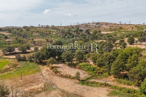 Landejendom i Guarda, Guarda, Guarda - € 875.000 | Ref: FG750 - foto 47