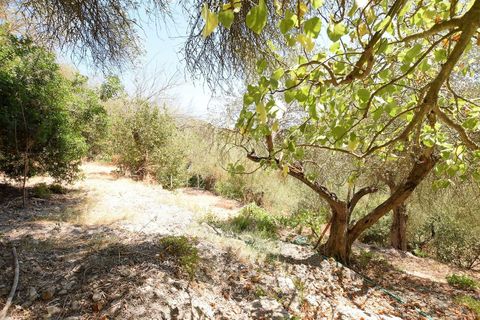 Villa i Sassari, Sassari, Sassari - € 289.000 | Ref: 13105 - foto 29