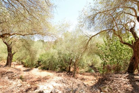 Villa i Sassari, Sassari, Sassari - € 289.000 | Ref: 13105 - foto 30