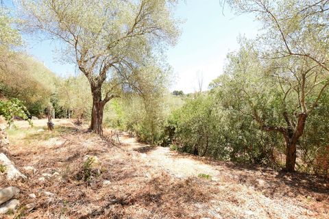 Villa i Sassari, Sassari, Sassari - € 289.000 | Ref: 13105 - foto 31