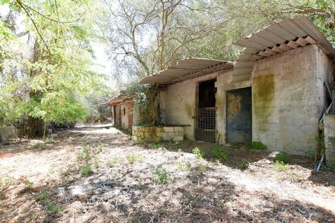 Villa i Sassari, Sassari, Sassari - € 289.000 | Ref: 13105 - foto 32