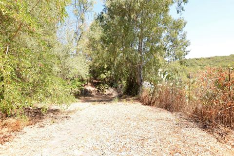 Villa i Sassari, Sassari, Sassari - € 289.000 | Ref: 13105 - foto 33