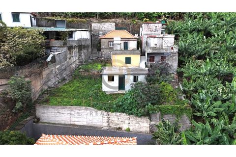 Villa i Ribeira Brava, Madeira, Ribeira Brava - € 180.000 | Ref: CAS_27 - foto 3