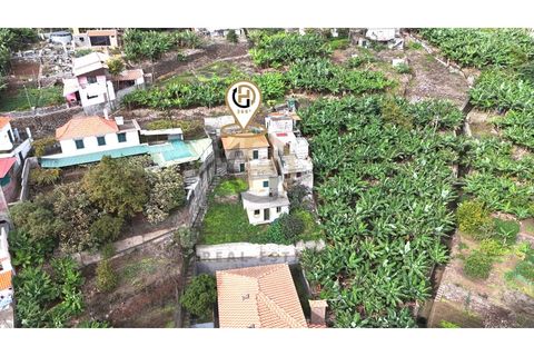 Villa i Ribeira Brava, Madeira, Ribeira Brava - € 180.000 | Ref: CAS_27 - foto 8