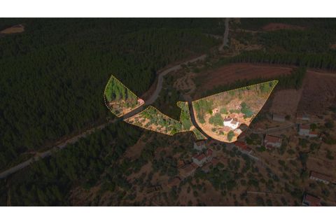 Farm i Castelo Branco, Castelo Branco, Castelo Branco - € 110.000 | Ref: 25074 - foto 1