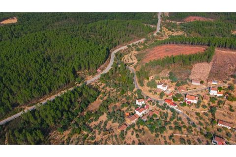 Farm i Castelo Branco, Castelo Branco, Castelo Branco - € 110.000 | Ref: 25074 - foto 2