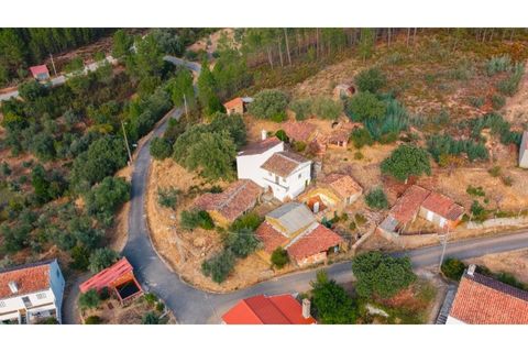 Farm i Castelo Branco, Castelo Branco, Castelo Branco - € 110.000 | Ref: 25074 - foto 3