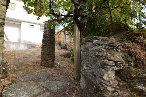 Farm i Castelo Branco, Castelo Branco, Castelo Branco - € 110.000 | Ref: 25074 - foto 5
