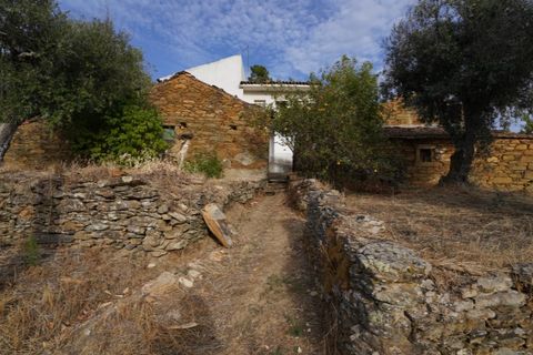 Farm i Castelo Branco, Castelo Branco, Castelo Branco - € 110.000 | Ref: 25074 - foto 6