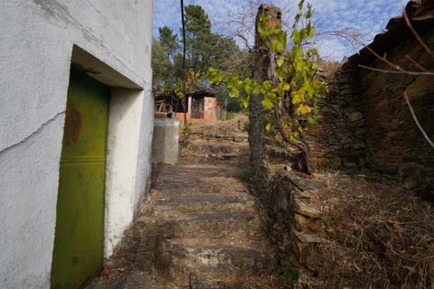 Farm i Castelo Branco, Castelo Branco, Castelo Branco - € 110.000 | Ref: 25074 - foto 10