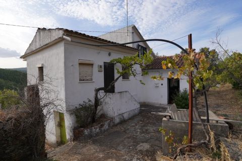 Farm i Castelo Branco, Castelo Branco, Castelo Branco - € 110.000 | Ref: 25074 - foto 11