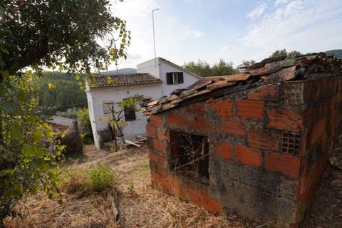 Farm i Castelo Branco, Castelo Branco, Castelo Branco - € 110.000 | Ref: 25074 - foto 13