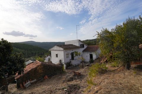 Farm i Castelo Branco, Castelo Branco, Castelo Branco - € 110.000 | Ref: 25074 - foto 14