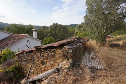 Farm i Castelo Branco, Castelo Branco, Castelo Branco - € 110.000 | Ref: 25074 - foto 15