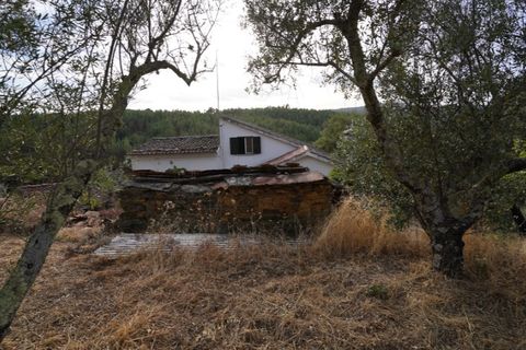 Farm i Castelo Branco, Castelo Branco, Castelo Branco - € 110.000 | Ref: 25074 - foto 16