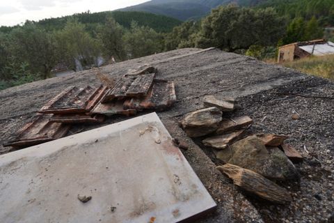 Farm i Castelo Branco, Castelo Branco, Castelo Branco - € 110.000 | Ref: 25074 - foto 19