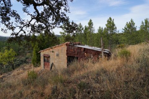Farm i Castelo Branco, Castelo Branco, Castelo Branco - € 110.000 | Ref: 25074 - foto 20