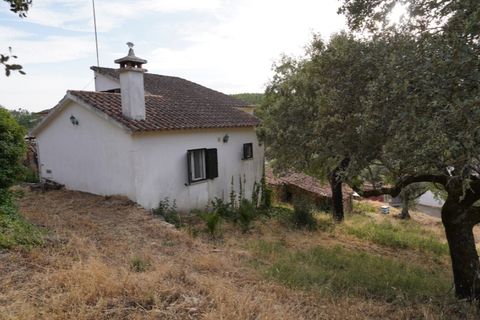 Farm i Castelo Branco, Castelo Branco, Castelo Branco - € 110.000 | Ref: 25074 - foto 21