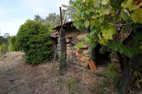 Farm i Castelo Branco, Castelo Branco, Castelo Branco - € 110.000 | Ref: 25074 - foto 22