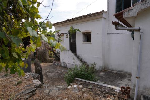Farm i Castelo Branco, Castelo Branco, Castelo Branco - € 110.000 | Ref: 25074 - foto 24