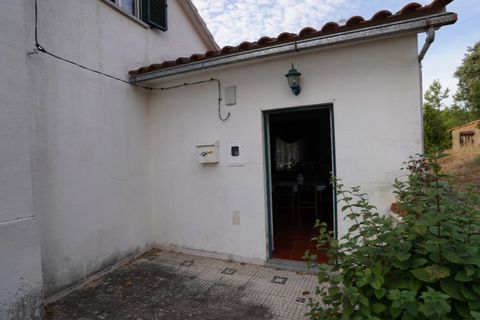 Farm i Castelo Branco, Castelo Branco, Castelo Branco - € 110.000 | Ref: 25074 - foto 25