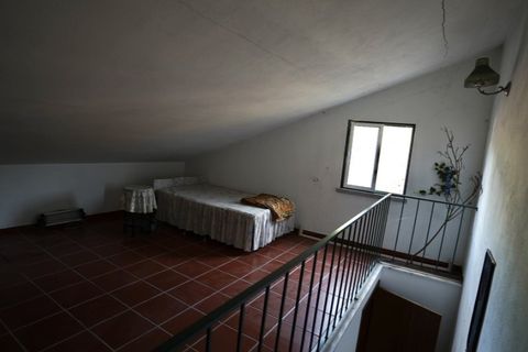 Farm i Castelo Branco, Castelo Branco, Castelo Branco - € 110.000 | Ref: 25074 - foto 38