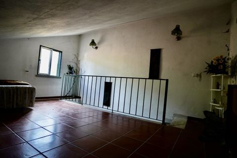 Farm i Castelo Branco, Castelo Branco, Castelo Branco - € 110.000 | Ref: 25074 - foto 39