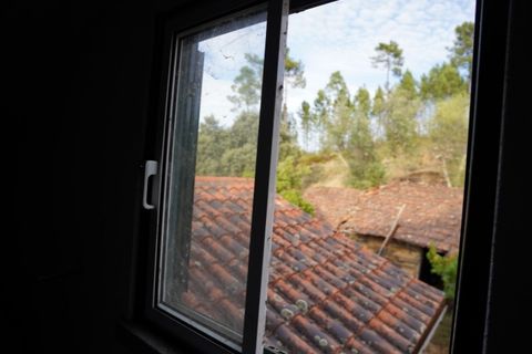 Farm i Castelo Branco, Castelo Branco, Castelo Branco - € 110.000 | Ref: 25074 - foto 42