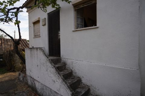 Farm i Castelo Branco, Castelo Branco, Castelo Branco - € 110.000 | Ref: 25074 - foto 44