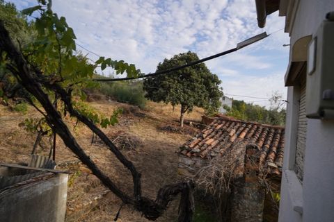 Farm i Castelo Branco, Castelo Branco, Castelo Branco - € 110.000 | Ref: 25074 - foto 45