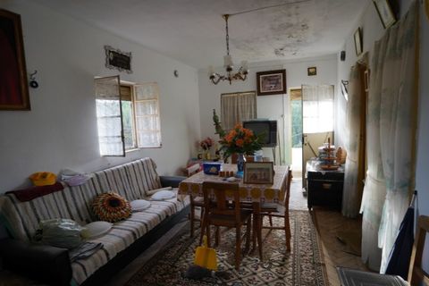 Farm i Castelo Branco, Castelo Branco, Castelo Branco - € 110.000 | Ref: 25074 - foto 46