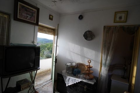 Farm i Castelo Branco, Castelo Branco, Castelo Branco - € 110.000 | Ref: 25074 - foto 48
