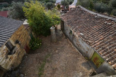Farm i Castelo Branco, Castelo Branco, Castelo Branco - € 110.000 | Ref: 25074 - foto 50