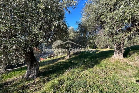 Helårsgrund i Drap, Alpes-Maritimes, Drap - € 259.000 | Ref: getkey_u_496954739 - foto 2