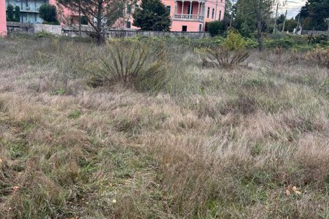 Helårsgrund i Amarante, Porto, Amarante - € 347.000 | Ref: C0478-00206 - foto 13
