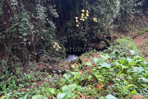 Helårsgrund i Amarante, Porto, Amarante - € 347.000 | Ref: C0478-00206 - foto 15