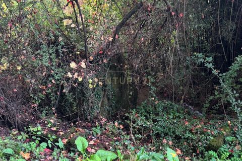 Helårsgrund i Amarante, Porto, Amarante - € 347.000 | Ref: C0478-00206 - foto 16