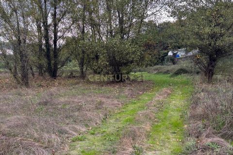 Helårsgrund i Amarante, Porto, Amarante - € 347.000 | Ref: C0478-00206 - foto 17