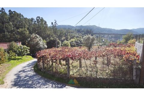 Helårsgrund i Ponte de Lima, Viana do Castelo, Ponte de Lima - € 70.000 | Ref: PTL-001-130 - foto 1