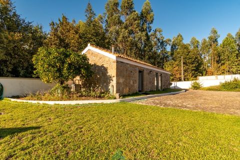 Villa i Ponte de Lima, Viana do Castelo, Ponte de Lima - € 900.000 | Ref: PTL-001-138 - foto 5