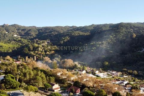 Helårsgrund i Sintra, Lisbon, Sintra - € 376.000 | Ref: 1356-01858 - foto 3