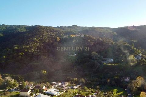 Helårsgrund i Sintra, Lisbon, Sintra - € 376.000 | Ref: 1356-01858 - foto 5