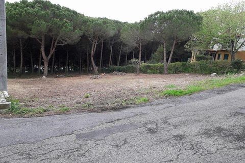 Helårsgrund i Sintra, Lisbon, Sintra - € 376.000 | Ref: 1356-01858 - foto 7