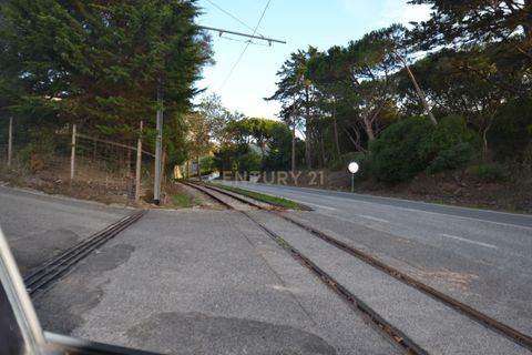 Helårsgrund i Sintra, Lisbon, Sintra - € 376.000 | Ref: 1356-01858 - foto 9