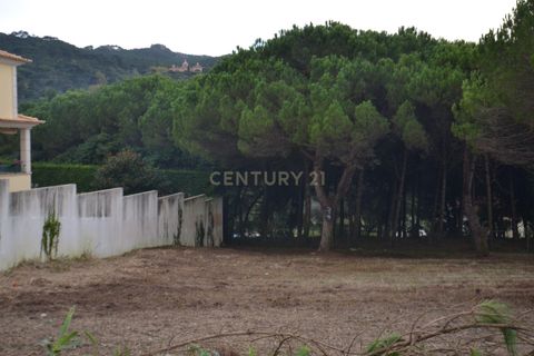 Helårsgrund i Sintra, Lisbon, Sintra - € 376.000 | Ref: 1356-01858 - foto 10