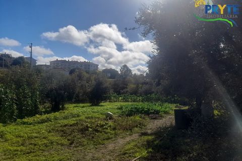 Helårsgrund i Proenca-a-Nova, Castelo Branco, Proenca-a-Nova - € 75.000 | Ref: SO12 - foto 1