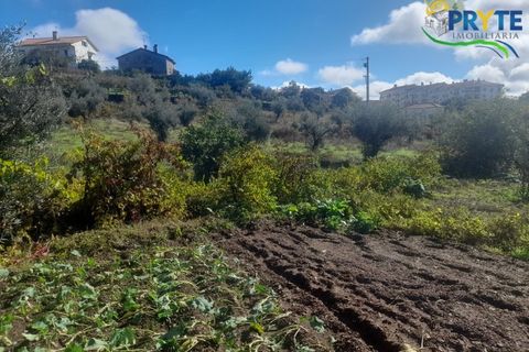 Helårsgrund i Proenca-a-Nova, Castelo Branco, Proenca-a-Nova - € 75.000 | Ref: SO12 - foto 2